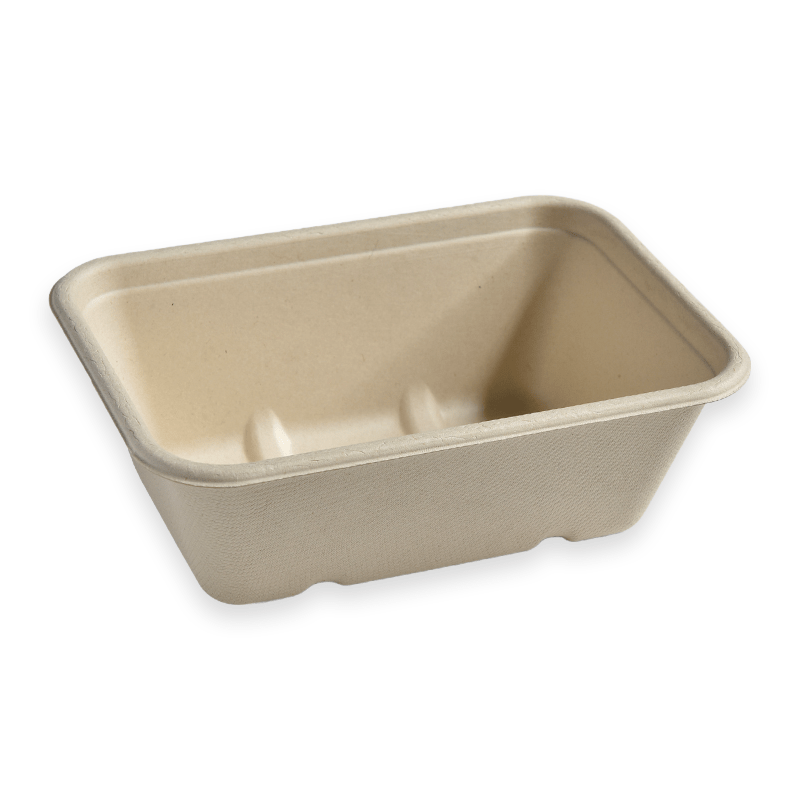 750ml Rectangle Sugarcane Fibre Box