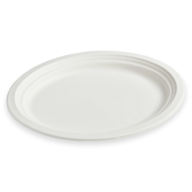 12.5" Oval Sugarcane Fibre Plate