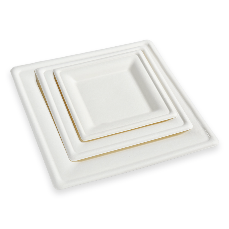 8" Rectangle Sugarcane Fibre Plate