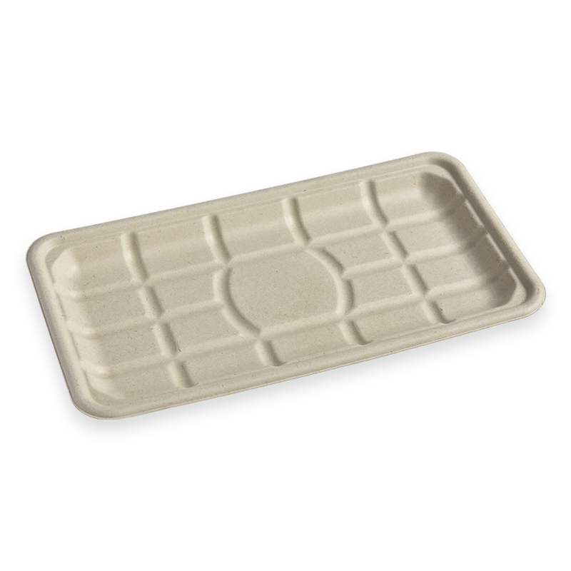 TR10S Sugarcane Fibre Tray