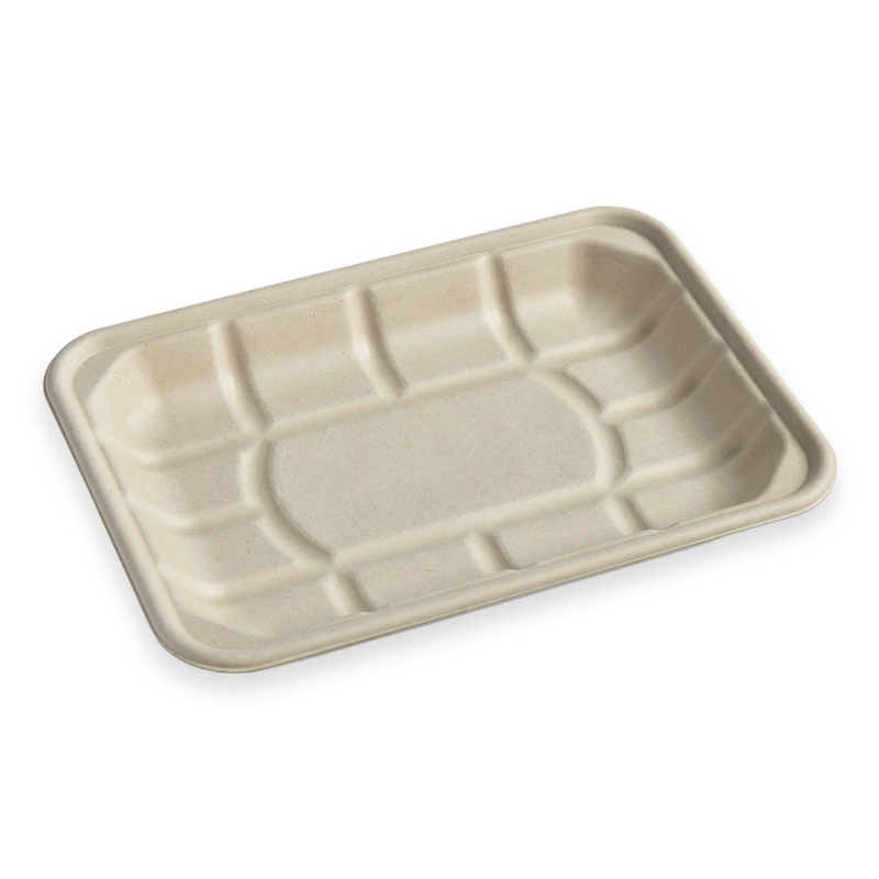 TR2D Sugarcane Fibre Tray
