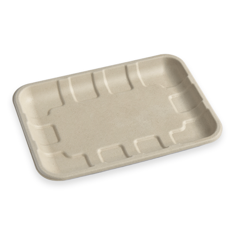 TR2S Sugarcane Fibre Tray