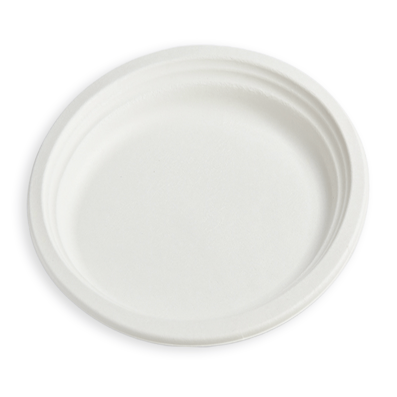 10" Round Sugarcane Fibre Plate