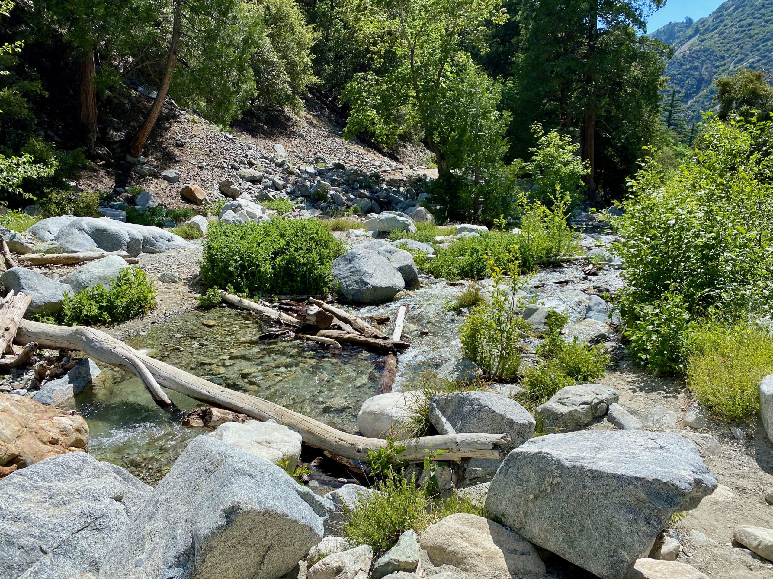 Ice House Canyon Trail