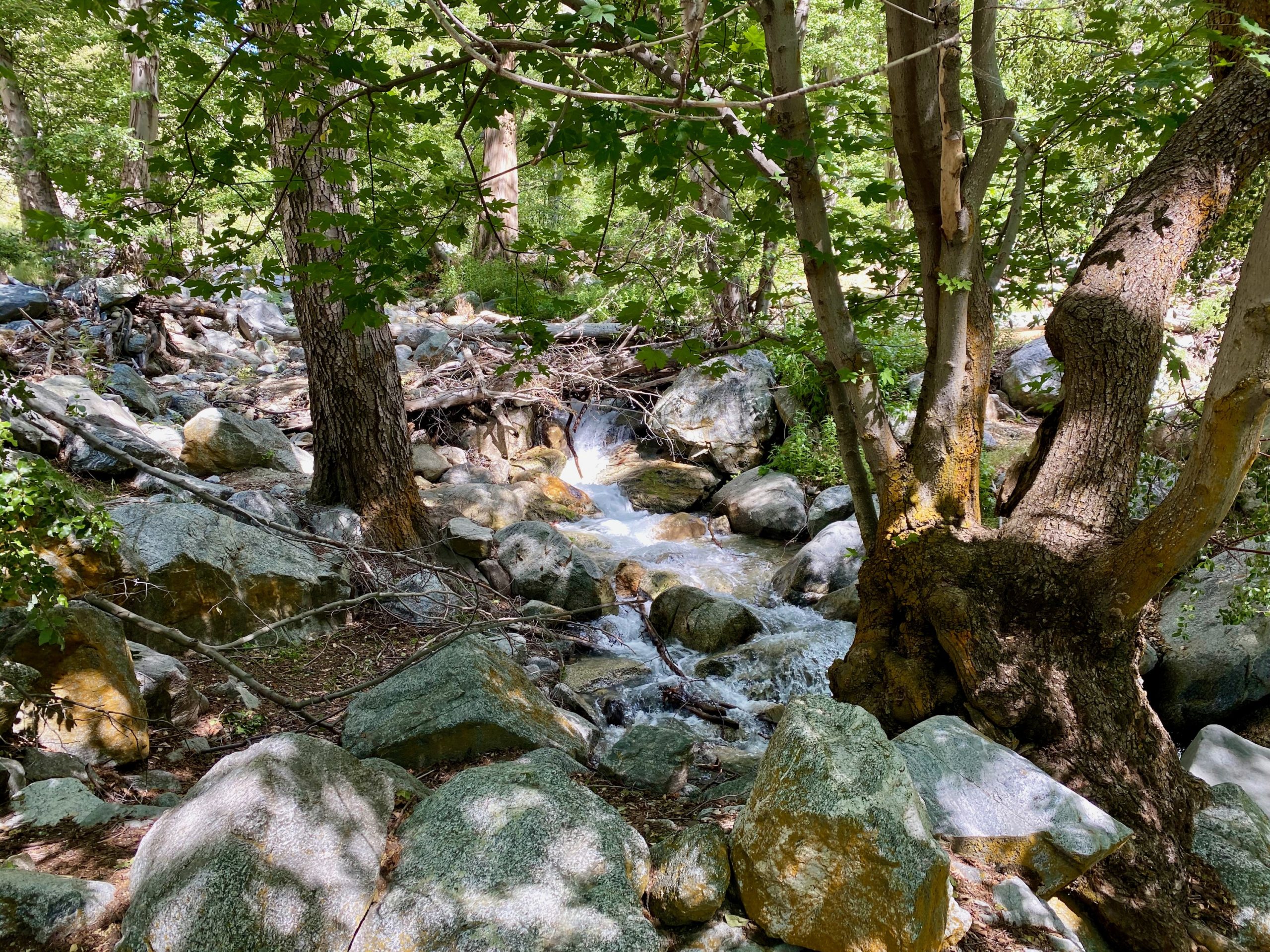 Ice House Canyon Trail