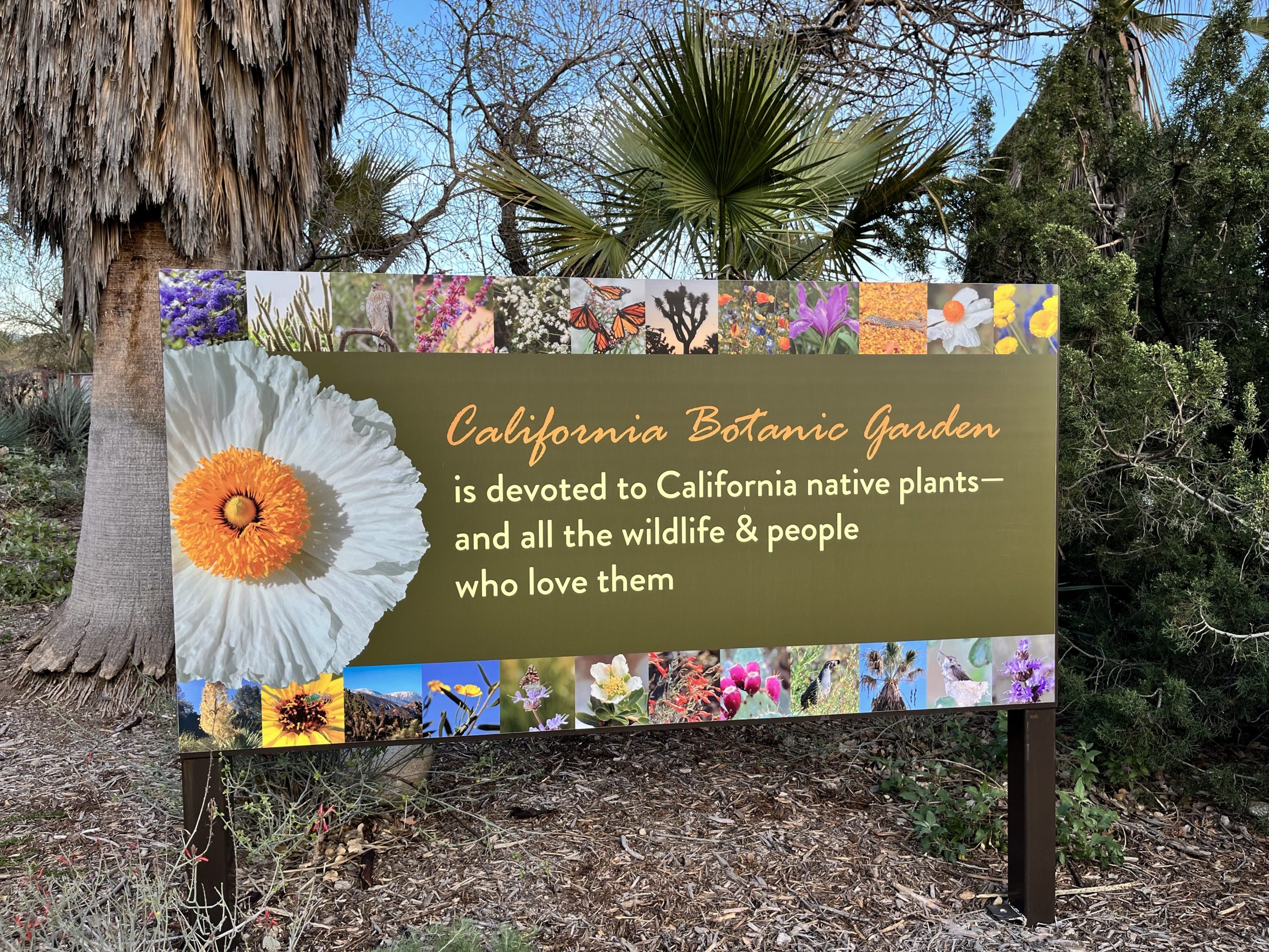 California Botanic Garden