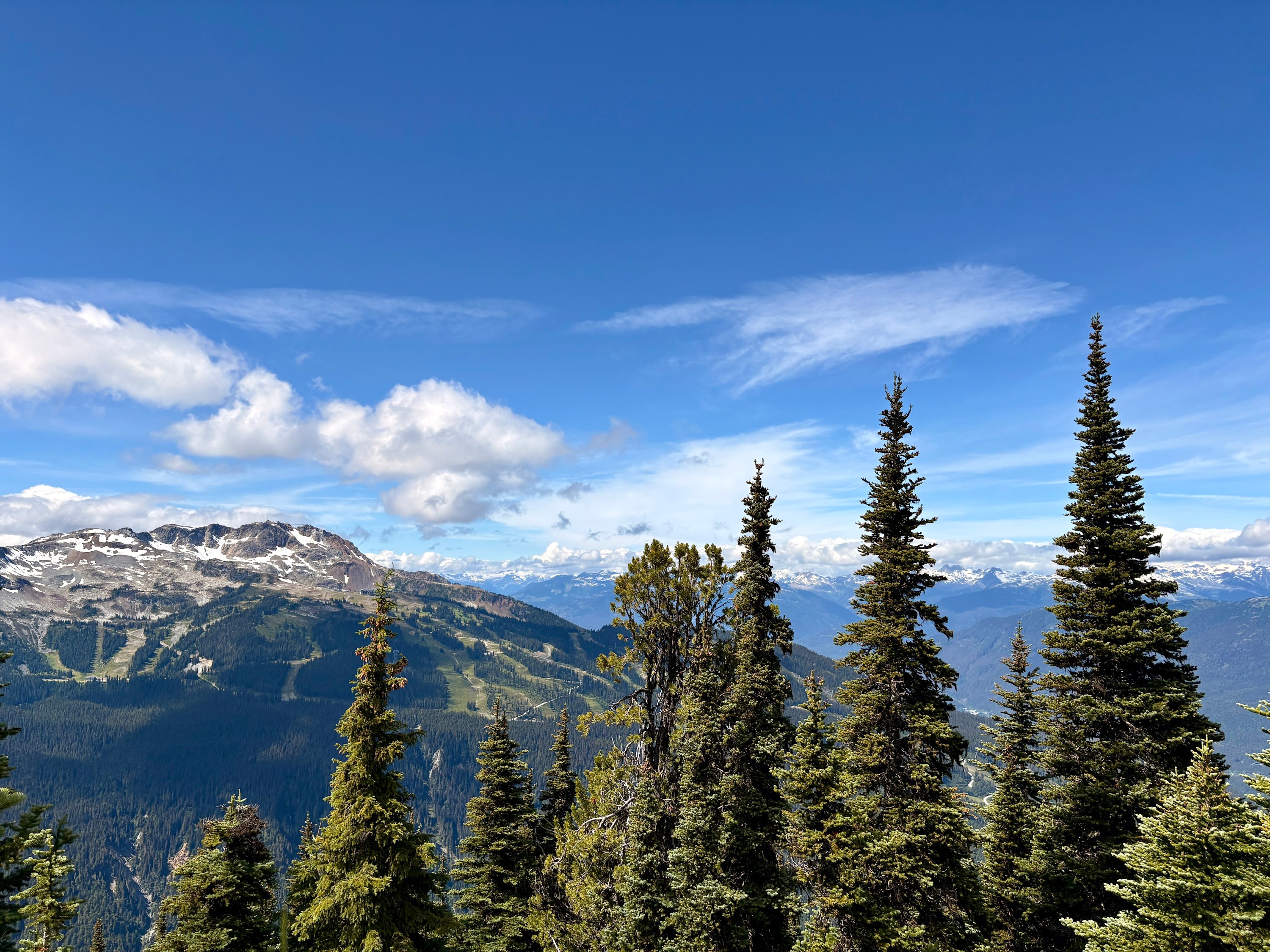 July 2026 in Photos, and Whistler