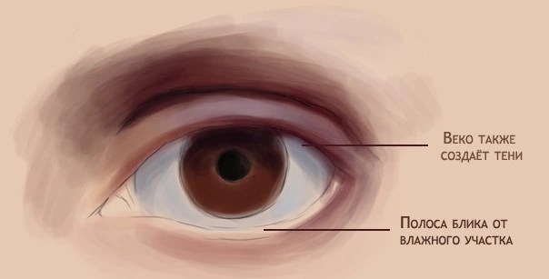 как нарисовать глаз в фотошопе