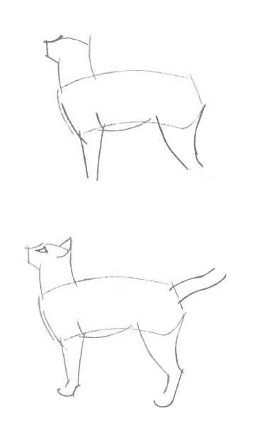 кошку буду рисовать