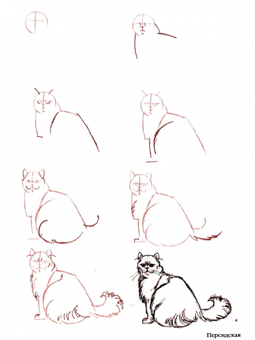 как нарисовать лежащую кошку