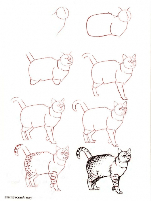 как нарисовать лежащую кошку