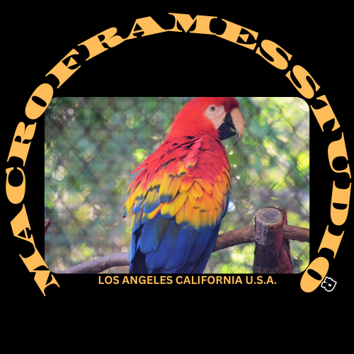 Macro Frames Greetings: Custom Nature Postcards
