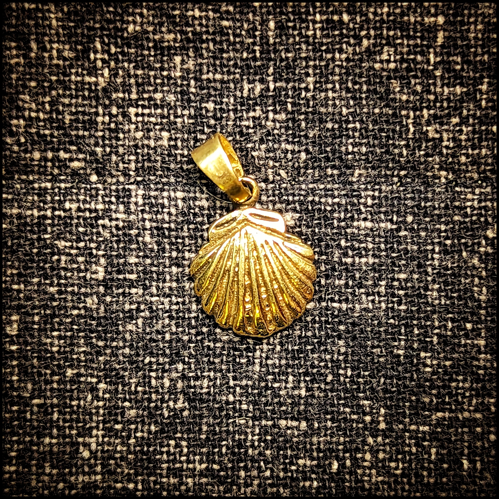 Brass Pendant Shell