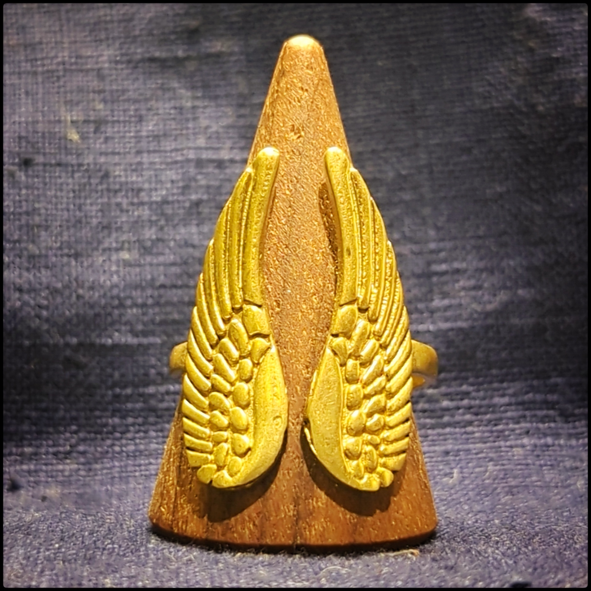 Ring Wings