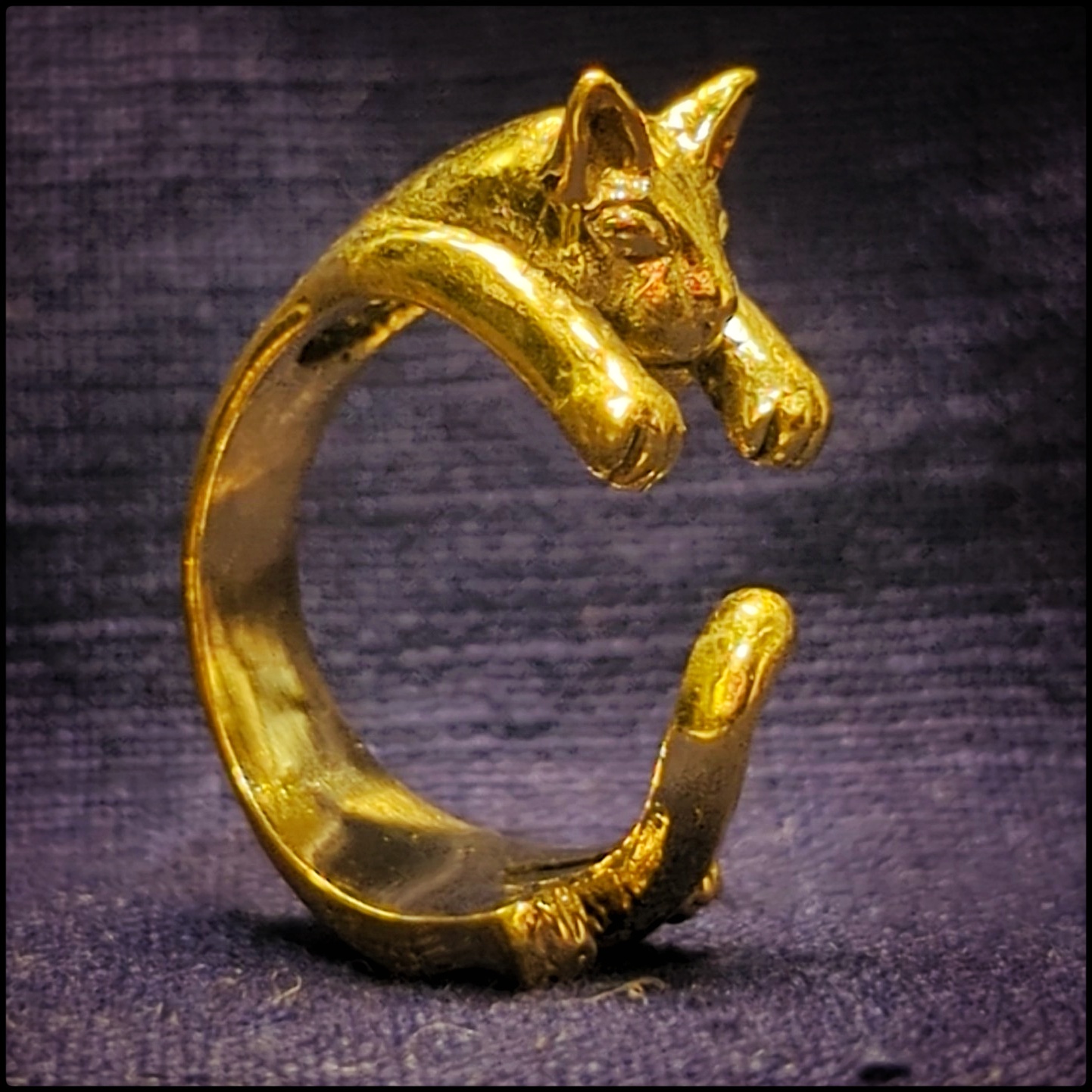 Ring Cat