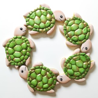 Turtle