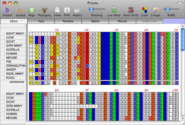 Macvector Inc On Linkedin Macvectortip Create Custom Codon Usage - Perfect Dark Pattern - 8K