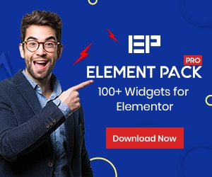 BdThemes and Element Pack Pro