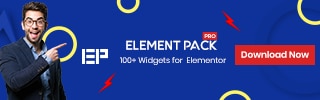 BdThemes and Element Pack Pro