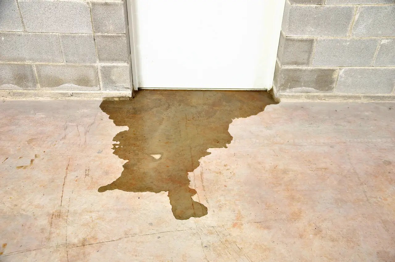 Recognizing Sewer Line Damage