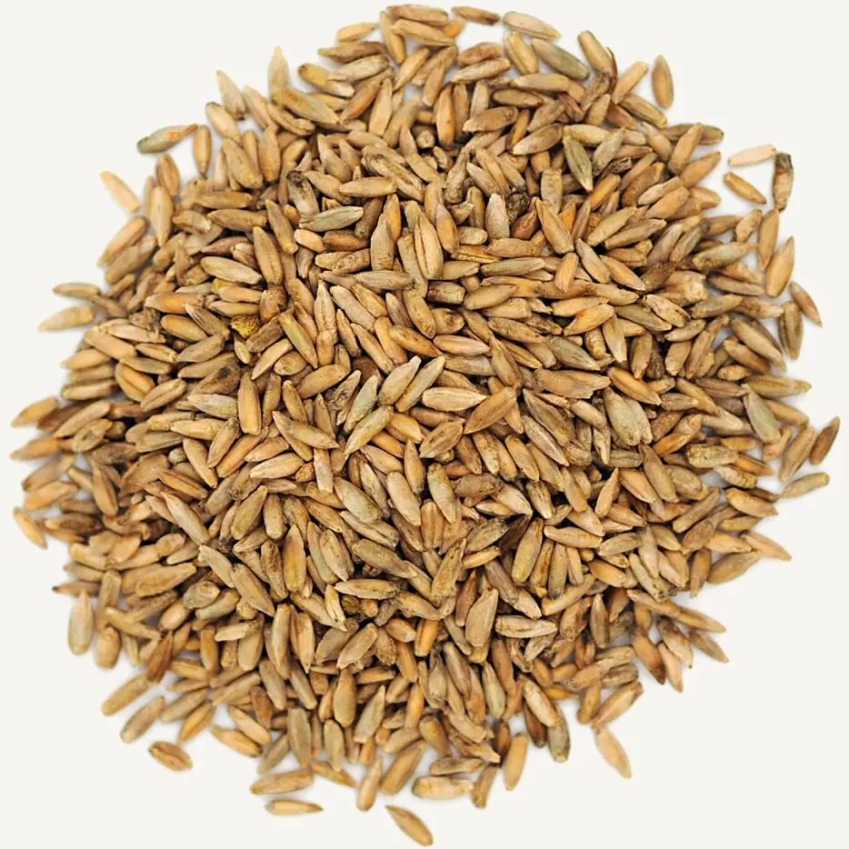 Rye grain