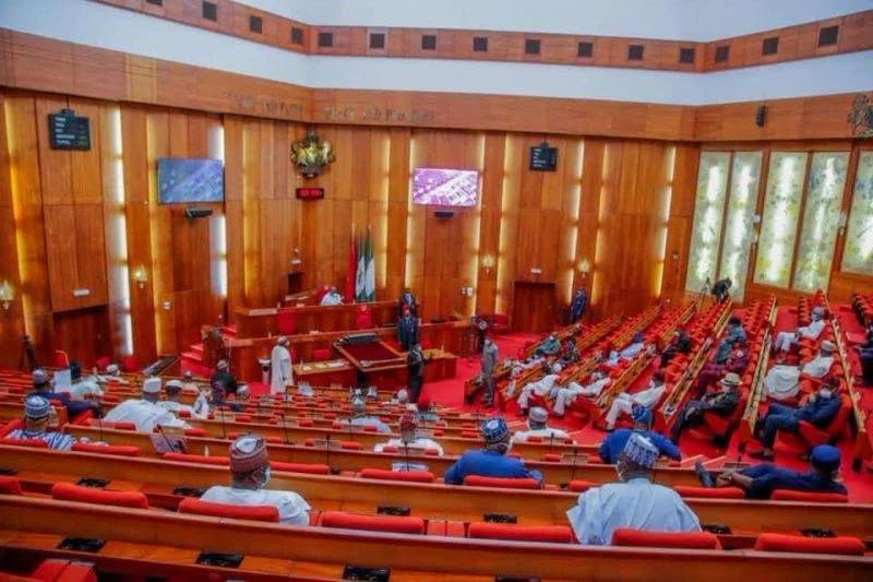 Senate Passes State Police Bill, Empowers Governors to Appoint CP