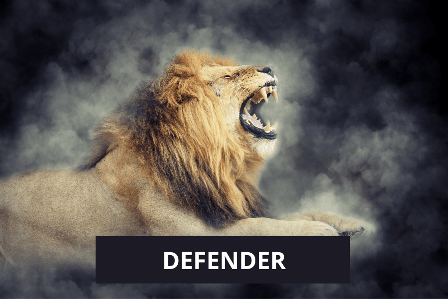 Defender