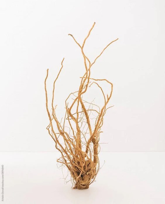 Madequa - Best Landscape Illustrations in 8K