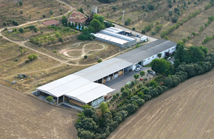 Bodegas Osca Bridea Carpinteria En Huesca