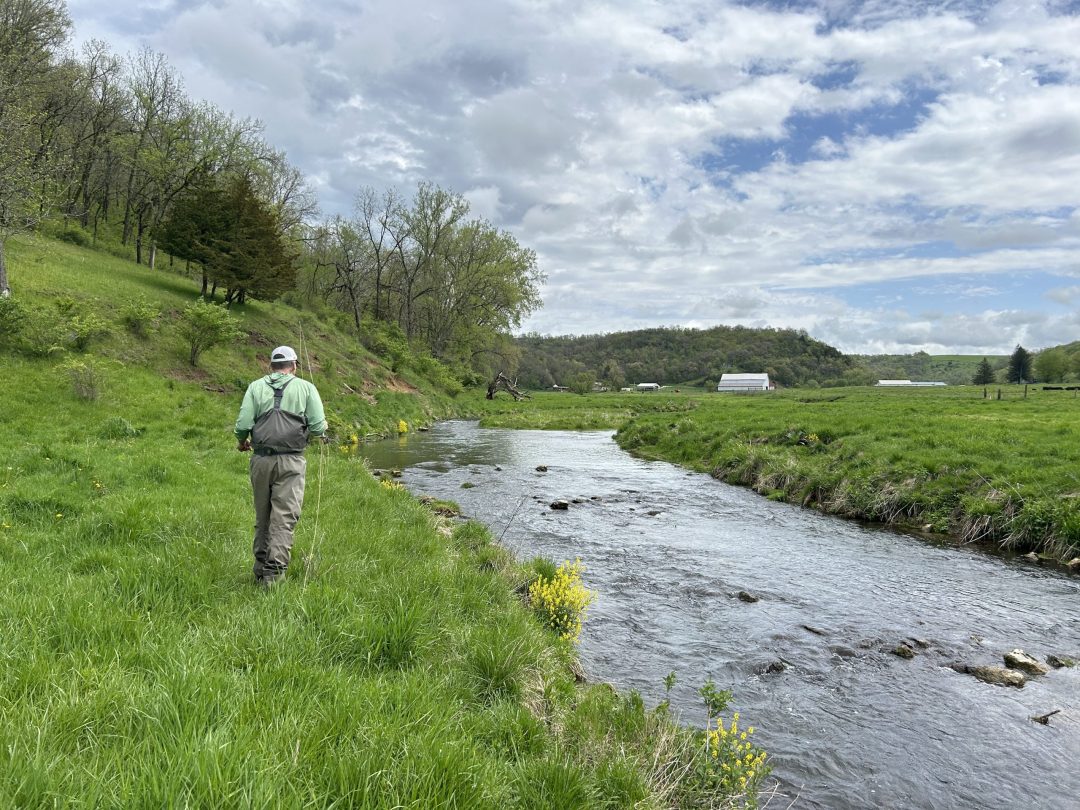 Fly fishing in the Driftless Region streams