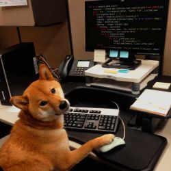 Madiyar Bolatov - Best Gradient Photos in 8K