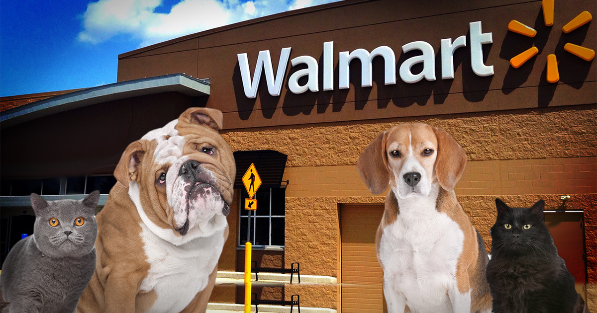 walmart opens their doors to pets pooper scooper robots will handle the rest on is walmart pet friendly canada