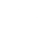 Evading Arrest