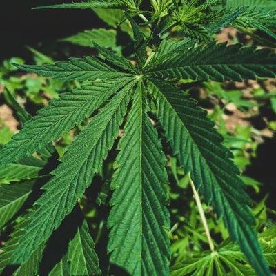 Jsfuck For Javascript Obfuscation Maerih - Vintage Backgrounds - Artistic Desktop Collection