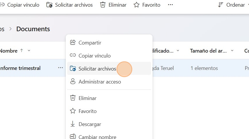 Descripción de la solicitud