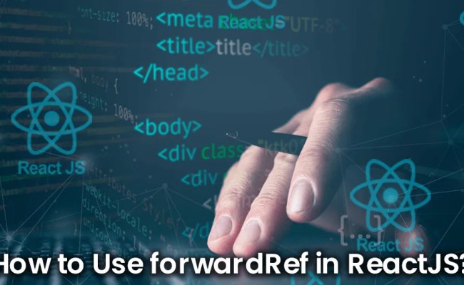 How To Use ForwardRef In ReactJS?