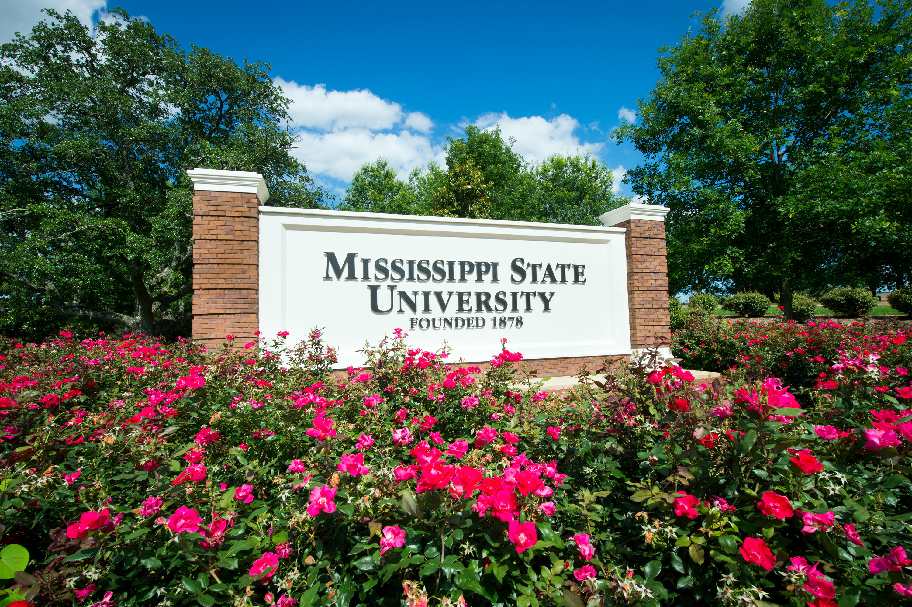 MSU waiving GMAT/GRE requirements for summer and fall graduate school applicants 