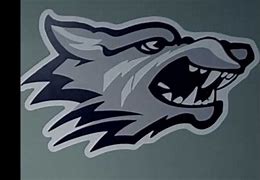 Co-Lin announces 2021 football schedule