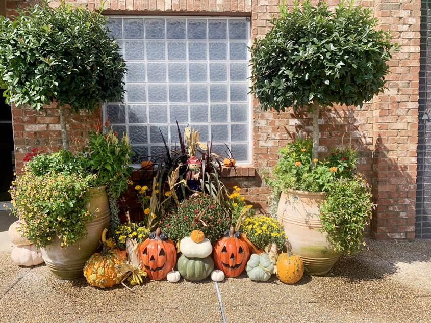 Festive on Main Street