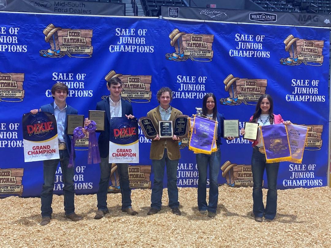 SCTC FFA Members Represent Simpson County @ the Dixie National Livestock Show