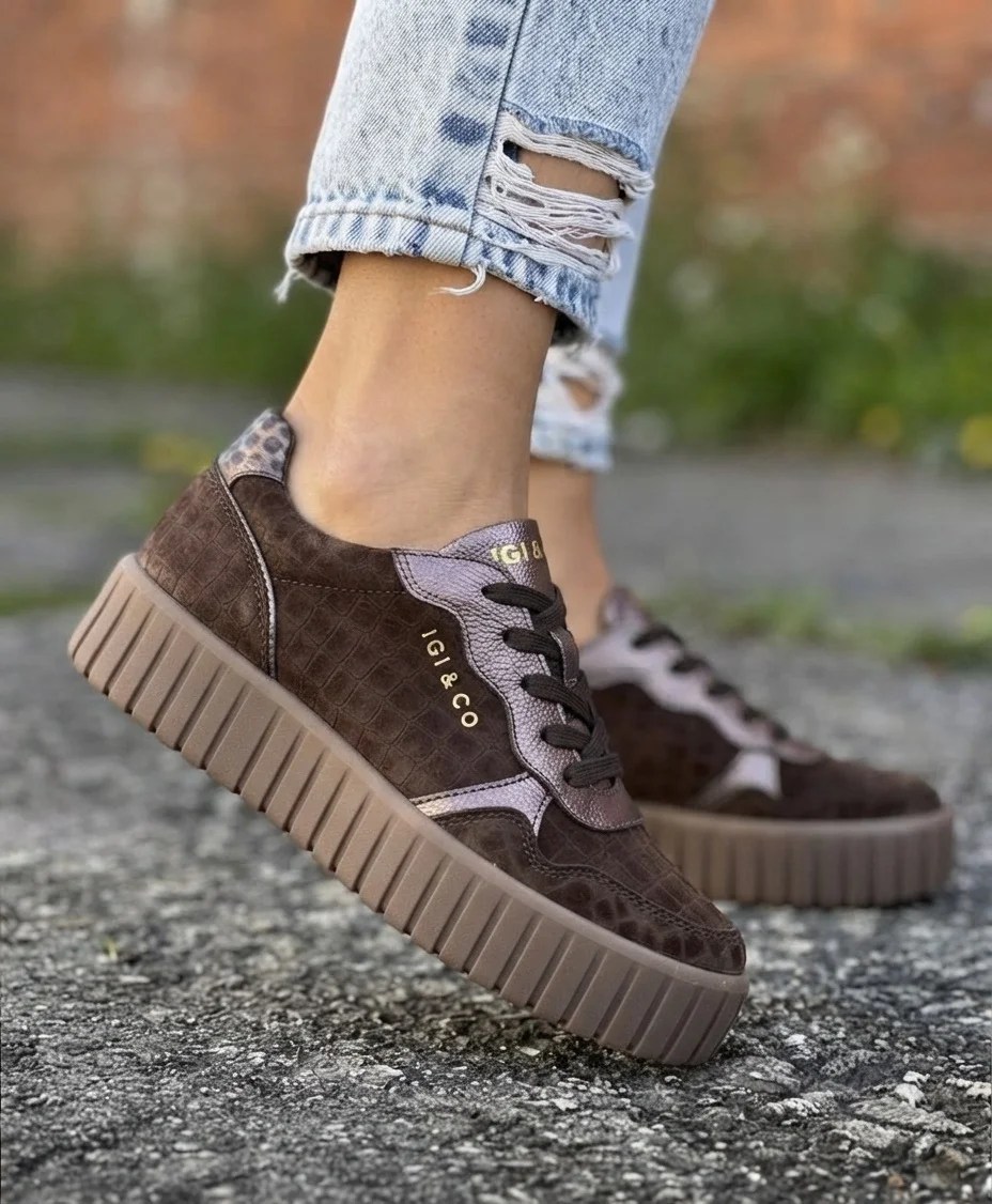 magellancipo IgI&CO 2168733 barna sneaker