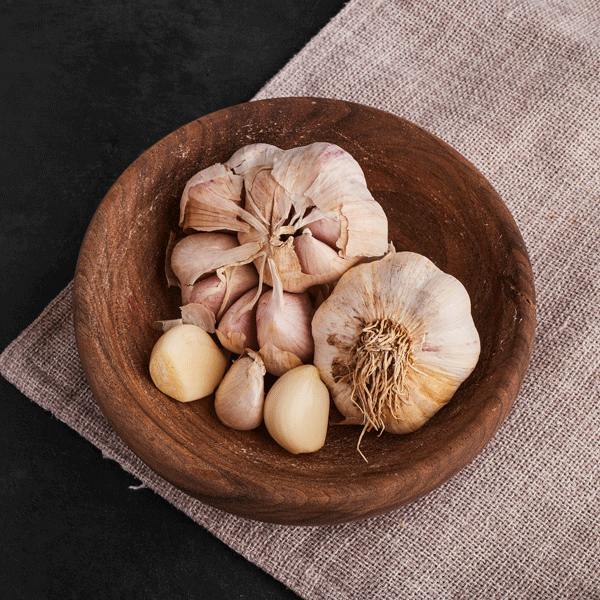 ماجيك ستورز