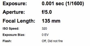 EXIF Data for a photo I took, shown on Flickr
