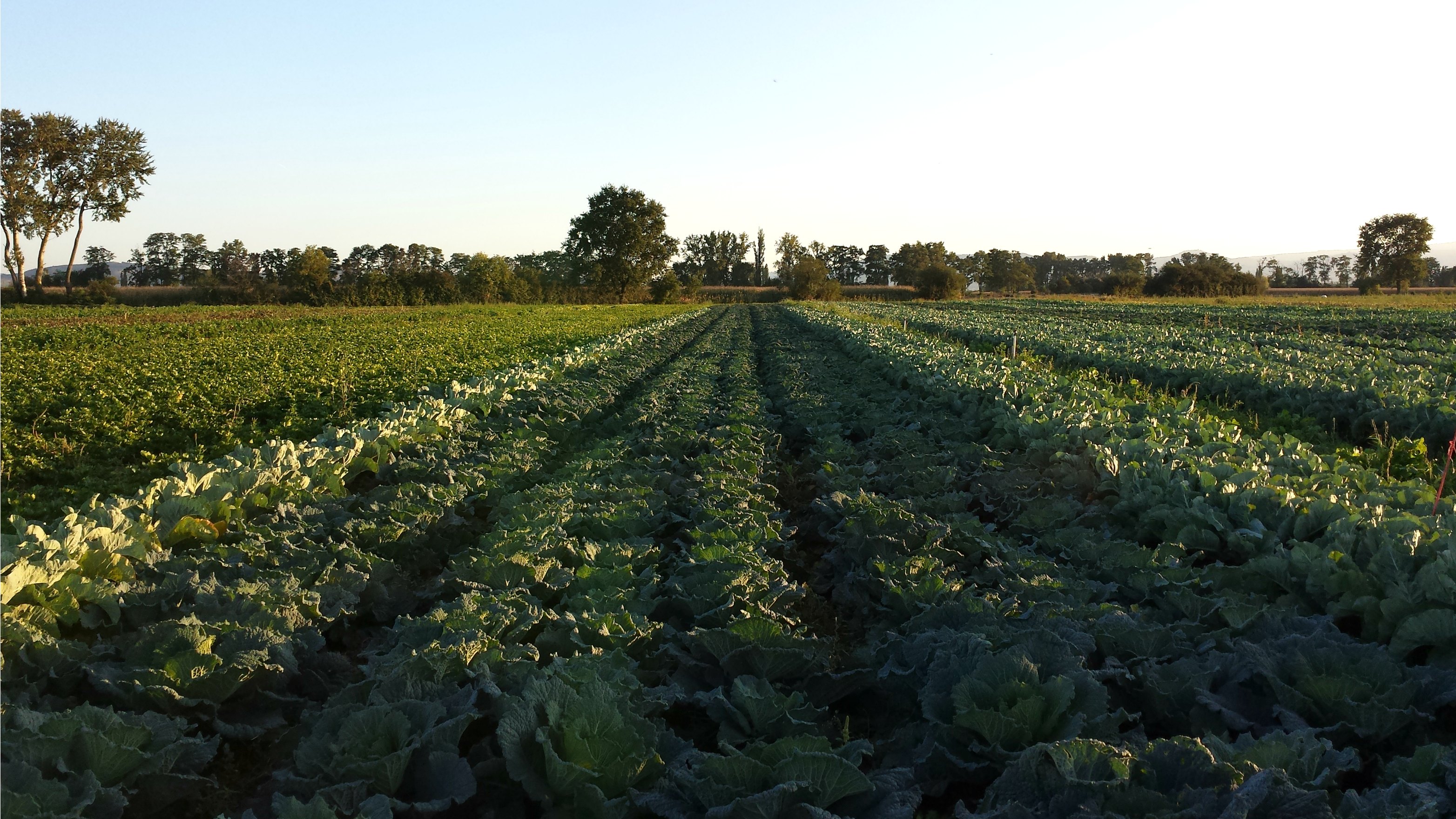 Le Biau Jardin Partage Home Facebook