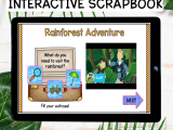 Amazon Rainforest Virtual Field Trip At Robert Curl Blog