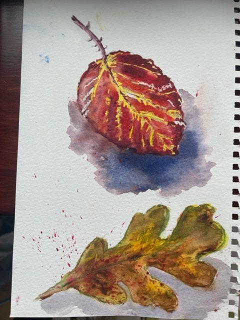 Online Watercolour course for beginners had a great start