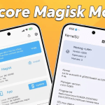 Riru Magisk Module Download (Latest Version 2025)
