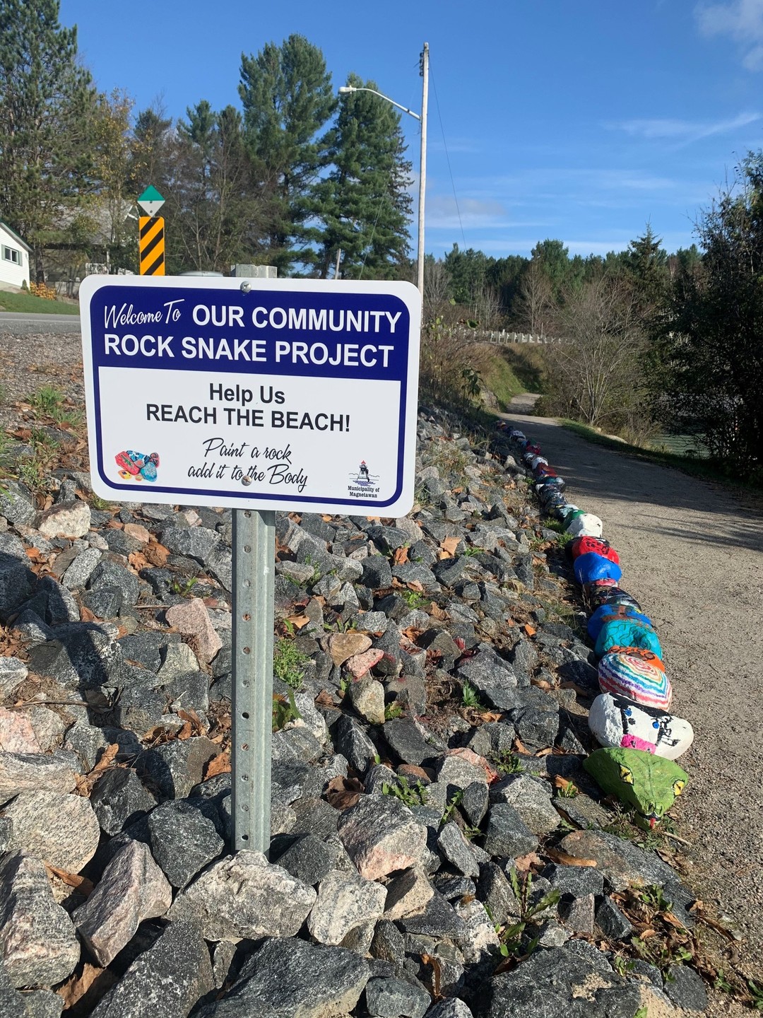 Community rock snake project