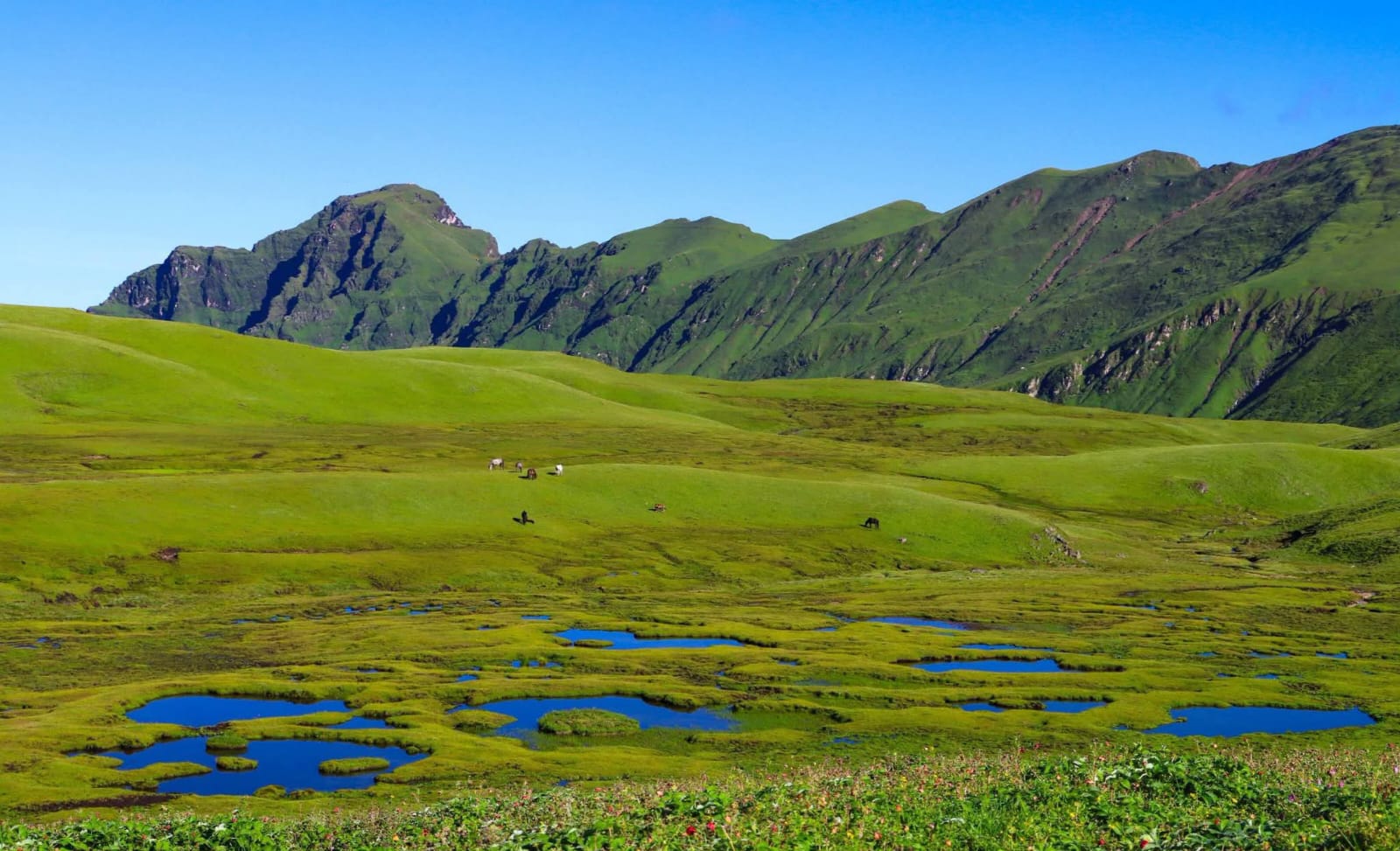 Badimalika: Journey to the Mystical Green Meadows of Far-West Nepal