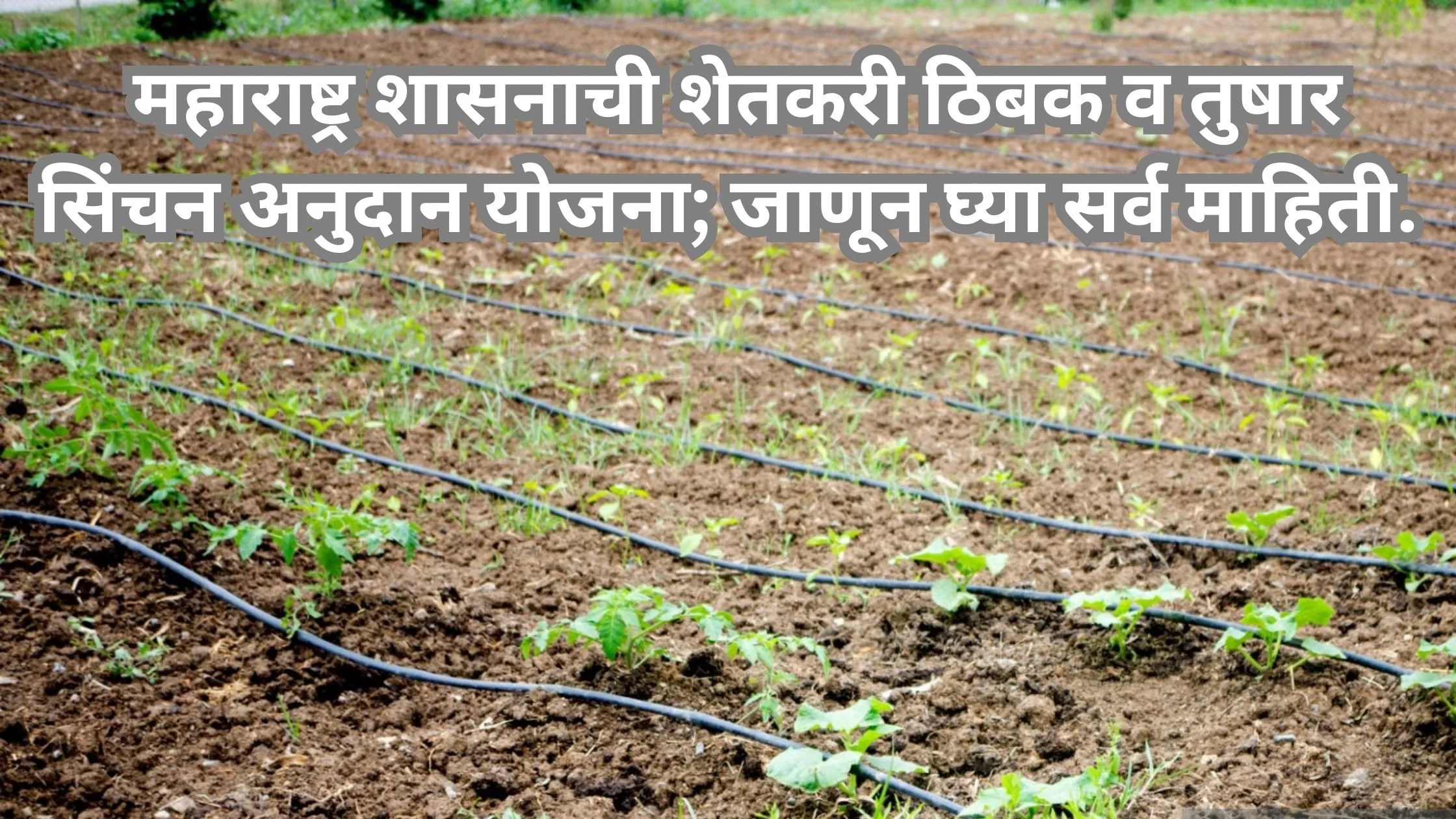 Thibak Sinchan Anudan Yojana